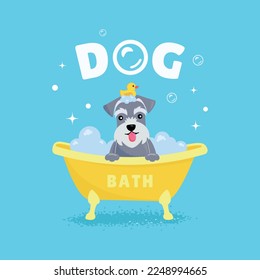 Dog taking a bath. Grooming and washing dogs. Dog grooming.	
