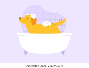 Dog taking shower in the bathroom. Labrador retriever bathing with dog shampoo.