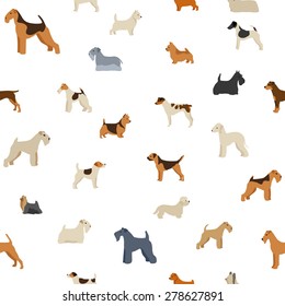 Dog terriers pattern