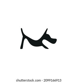 A dog that likes to play alone.