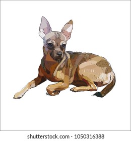 dog that terrier vector illustration