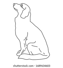 a dog that is waiting for its owner