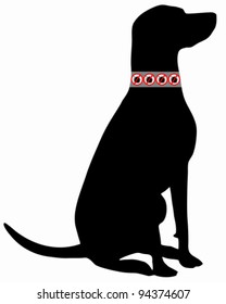Dog tick collar
