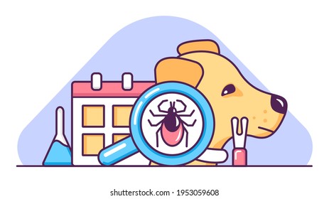 Dog tick season. Anti-glue protection methods. Prevention of Lyme and Encephalitis Diseases. Medical drops. Hook tweezers. Hazard calendar. Vector flat illustration of colored icons