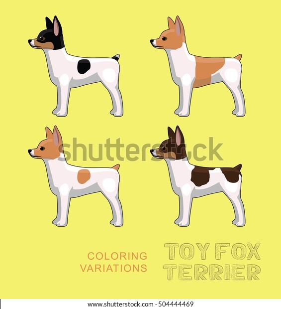 fox terrier