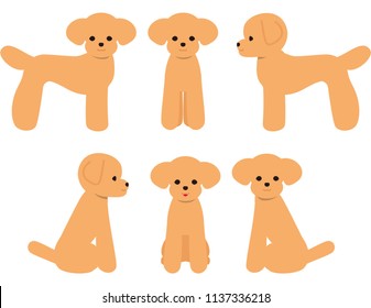 Dog Toy Poodle Pose