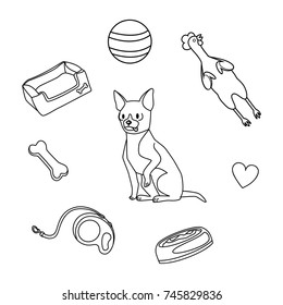 dog toys