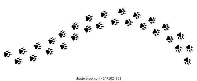 Dog tracks. Paw print. A line of footprints. Vector template. Illustration isolated on white background.
