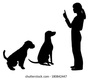 Dog Training