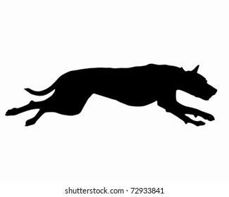 Dog training