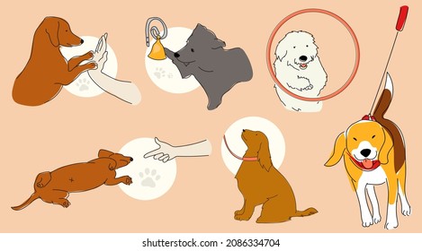 Dog Training Collection - Give Paws, Listen To Command, Walks, Ring A Bell, Bing-bang Fake Death, Jump Through