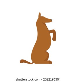 Dog training icon. Flat illustration of dog training vector icon isolated on white background