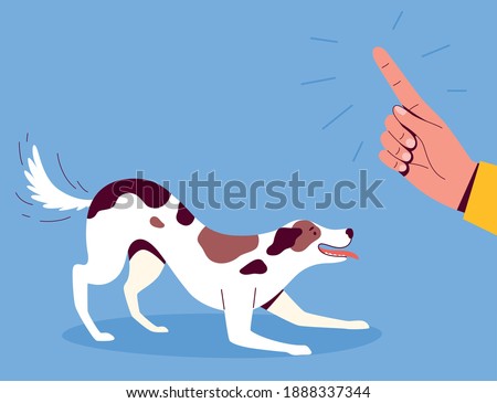 Dog training. The man shows the command with his hand. The cheerful dog wags its tail and listens to its owner