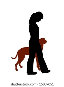 Dog training (obedience): command heel, dog follows handler
