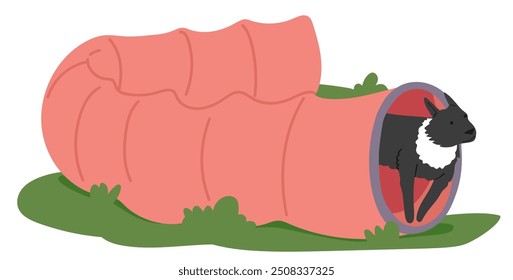 Dog Training Outdoors Using A Tunnel Obstacle. Black And White Dog Emerges Confidently From The Tunnel, Showcasing Agility And Training. Cartoon Vector Illustration Ideal For Pet Training Concepts