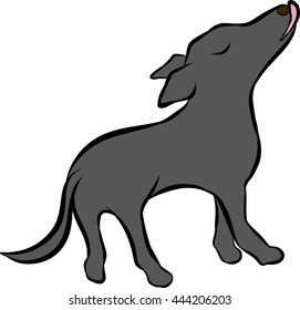 dog training poses