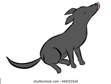 dog training poses