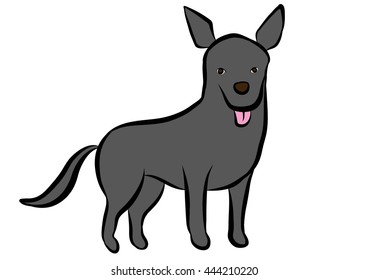 dog training poses