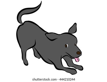 dog training poses