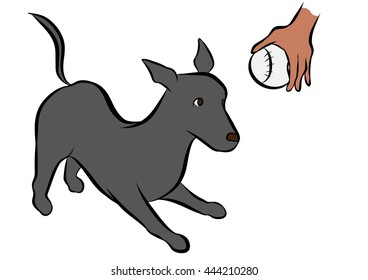 dog training poses