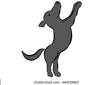 dog training poses