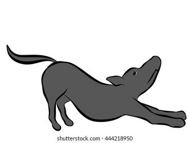 dog training poses