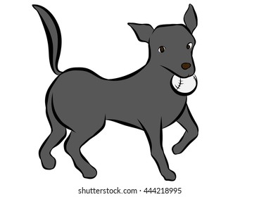 dog training poses
