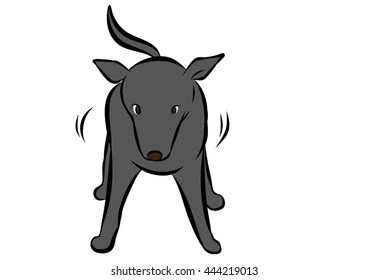 dog training poses