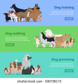 Dog training, walking and grooming. Long haired breeds of different size. Sportive and athletics ones. Pet shop banner poster. Vector design illustration in flat style