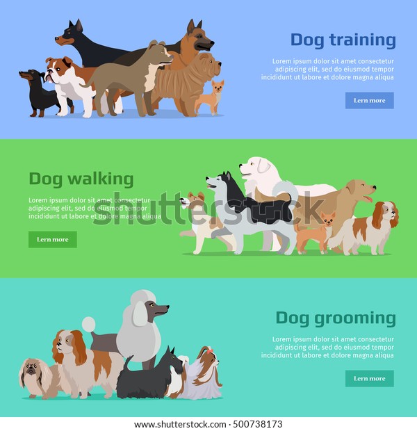 Dog Training Walking Grooming Long Haired Stock Vector Royalty