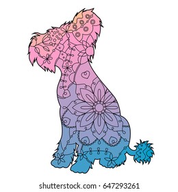 Dog with transition colors