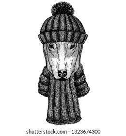 DOG for t-shirt design Cool animal wearing knitted winter hat. Warm headdress beanie Christmas cap for tattoo, t-shirt, emblem, badge, logo, patch