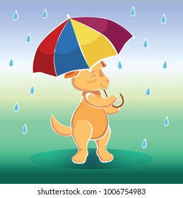 Dog under umbrella - save from rain