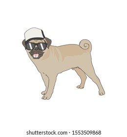 Dog use Hat and Glasses. Summer Dog vector illustration