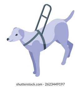 Dog is using a special support wheelchair to help it walk