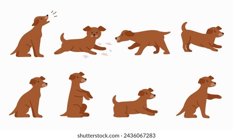 Perro en varias poses ilustraciones aisladas sobre fondo blanco.