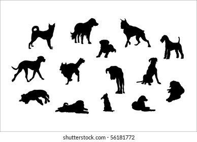 dog in various poses. Outline silhouettes. Vector.