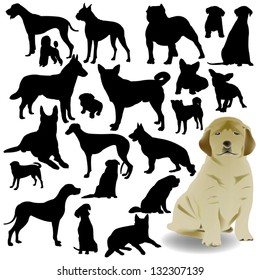 dog vector