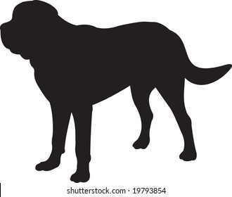 vector perro