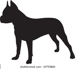 dog vector