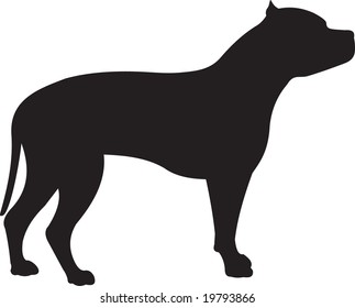 dog vector