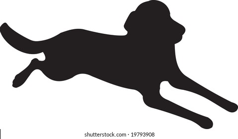 dog vector