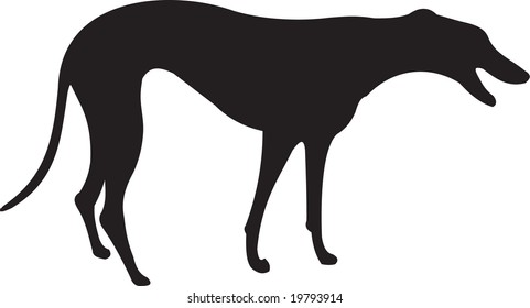 dog vector