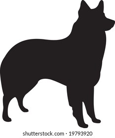 dog vector