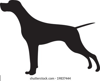 dog vector