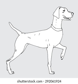 dog vector