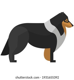 Dog vector. Black collie border breed isolated illustration. Cute shaggy purebred domestic animal on white background