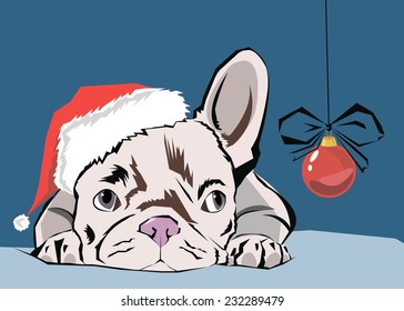 dog vector breed cute pet animal bulldog