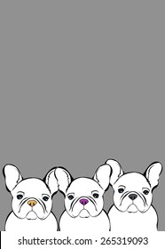 dog vector breed cute pet animal bulldog