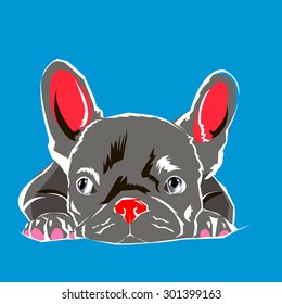 dog vector breed cute pet animal bulldog